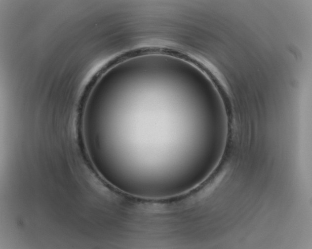 X0000114510783200910191132