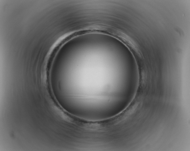 X0000114510784200910191132