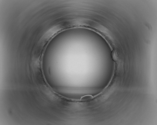 X0000114510785200910191132