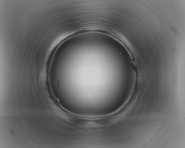 X0000114510787200910191132