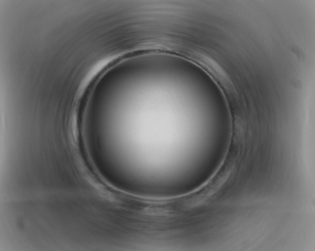 X0000114510788200910191132