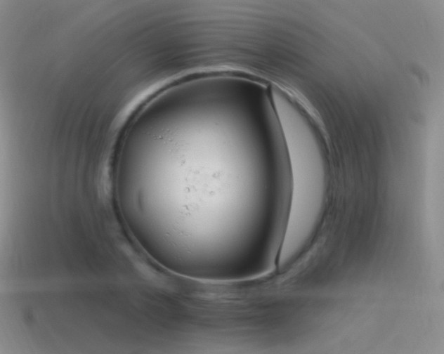 X0000114510789200910191132