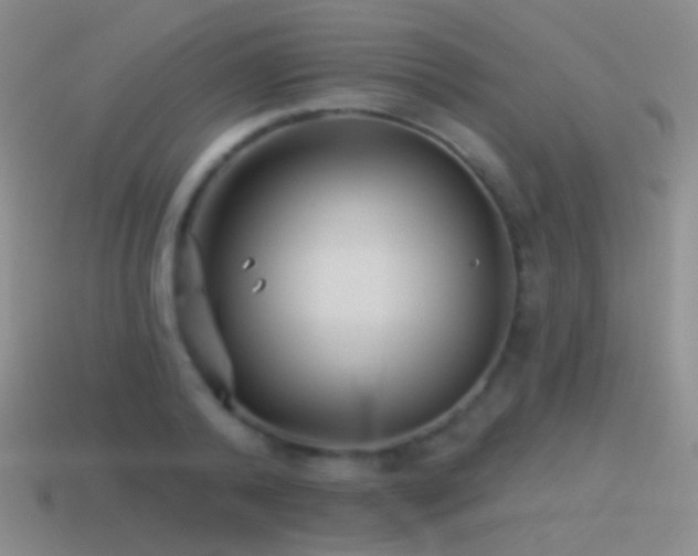 X0000114510792200910191132