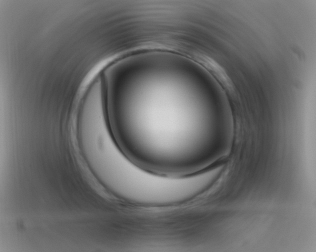 X0000114510796200910191132