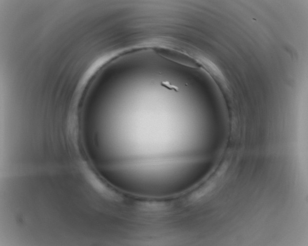 X0000114510800200910191131