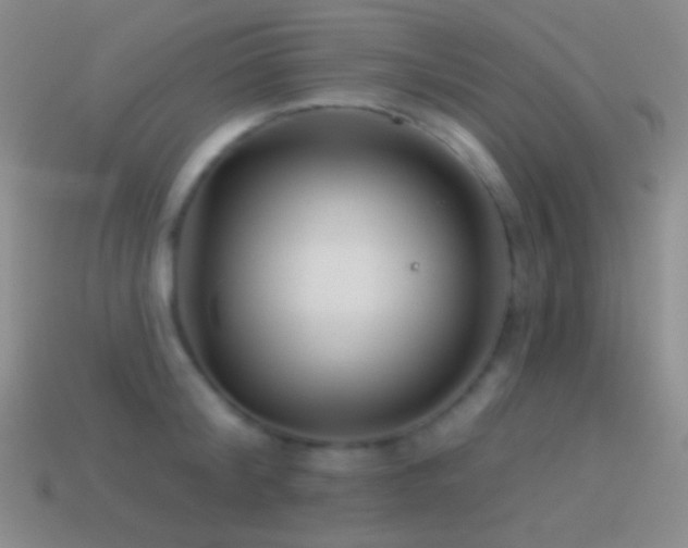 X0000114510804200910191131