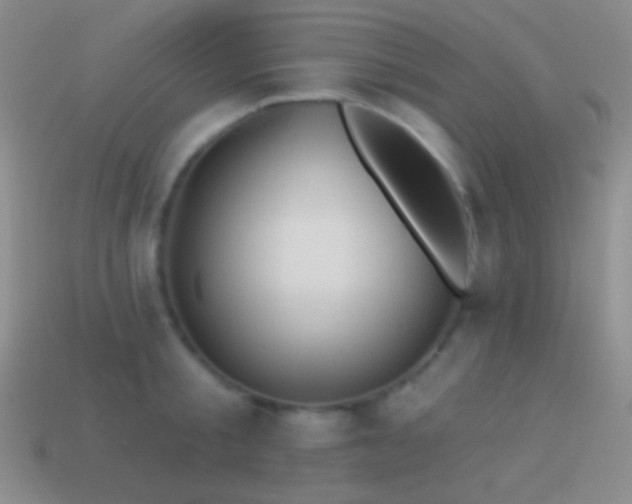 X0000114510805200910191131