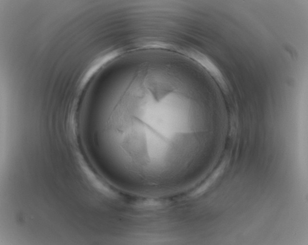 X0000114510806200910191131