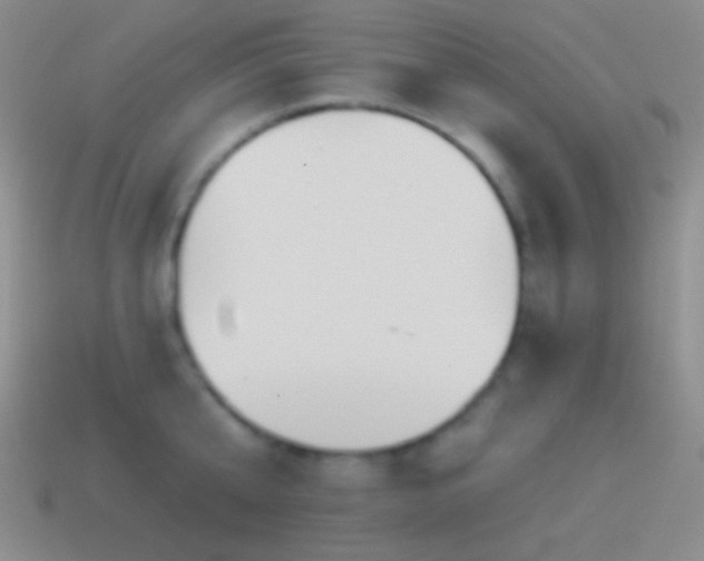 X0000114510807200910191131