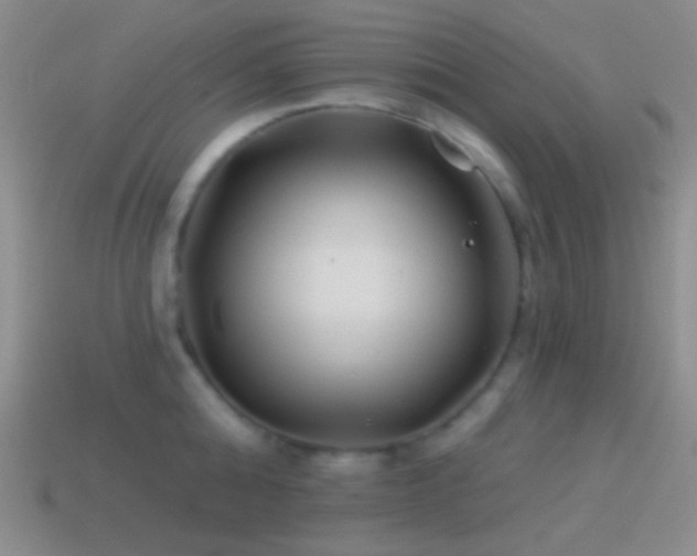 X0000114510808200910191131