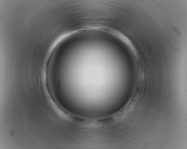 X0000114510811200910191131