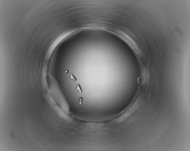 X0000114510812200910191131