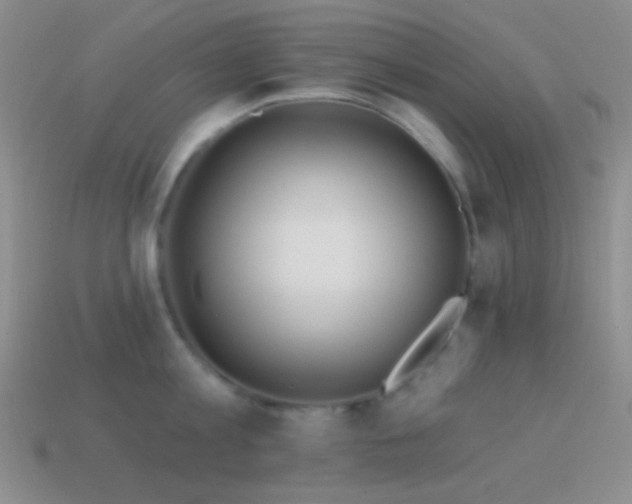 X0000114510813200910191131