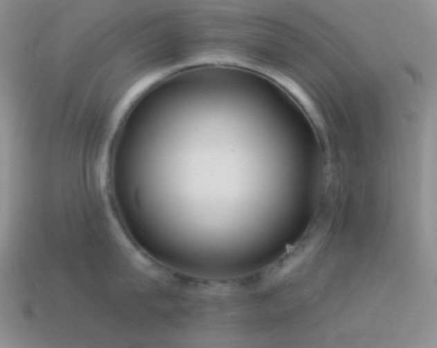 X0000114510815200910191131