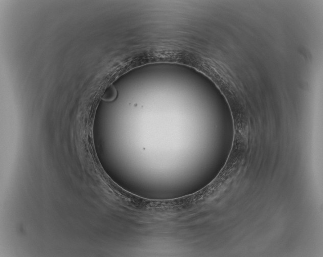 X0000114510817200910191130