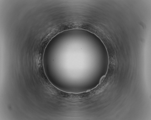 X0000114510818200910191130