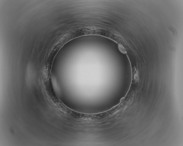 X0000114510819200910191130