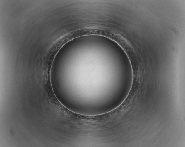 X0000114510821200910191131