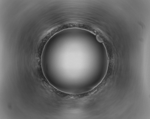 X0000114510822200910191131