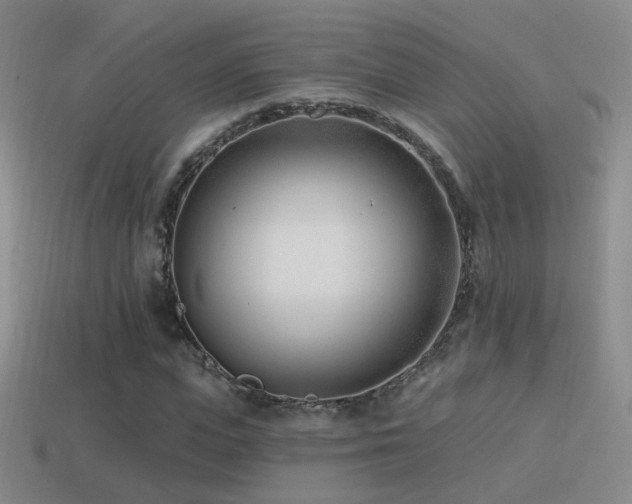 X0000114510823200910191131