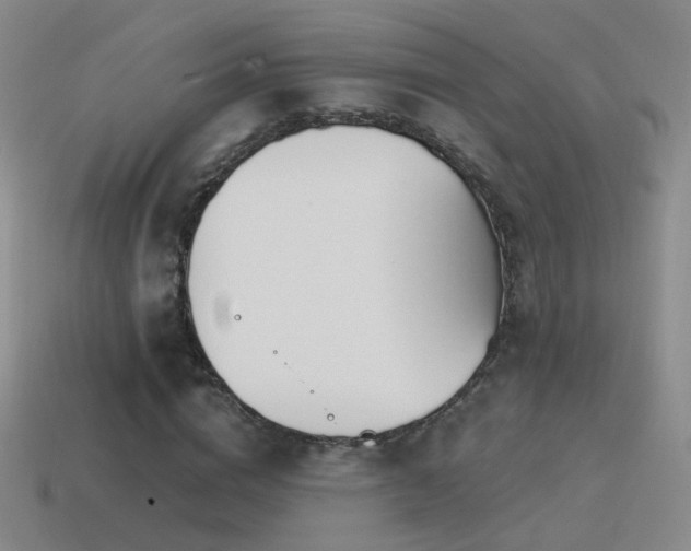 X0000114510824200910191131