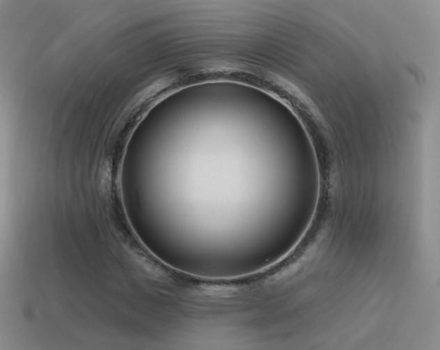 X0000114510825200910191131