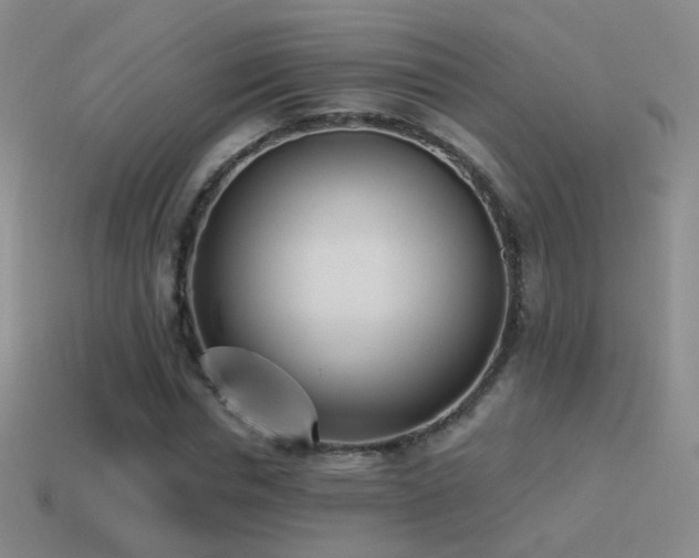 X0000114510826200910191131