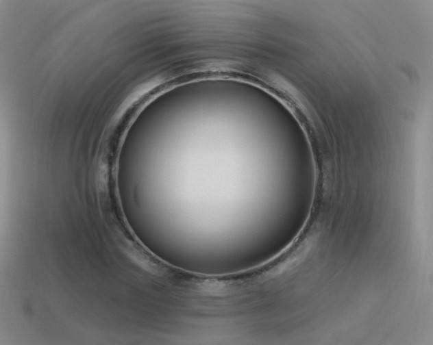 X0000114510827200910191131