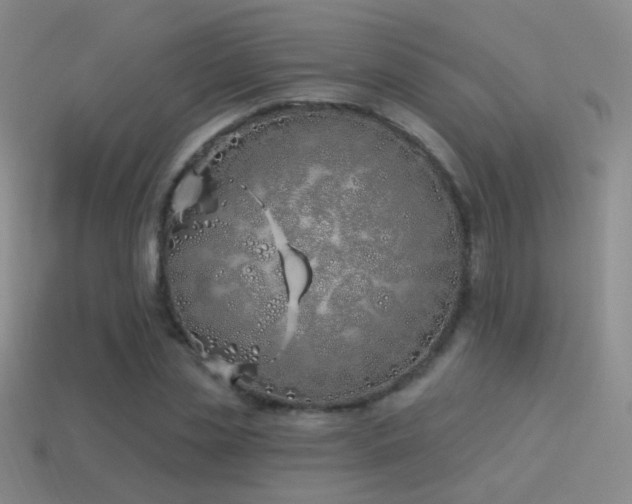 X0000114510829200910191131