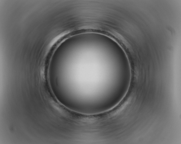 X0000114510830200910191131