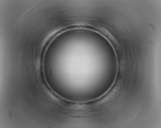 X0000114510831200910191131