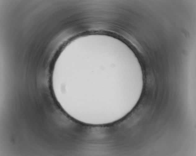 X0000114510832200910191131