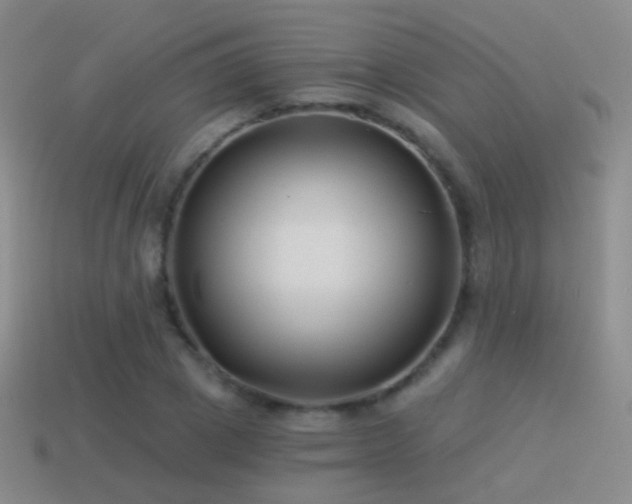 X0000114510833200910191131