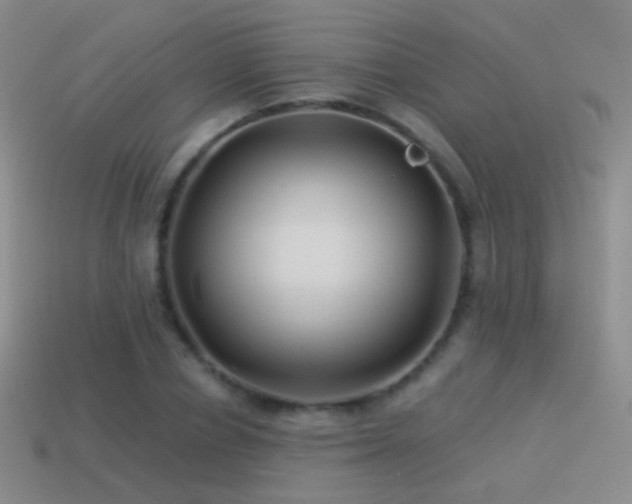 X0000114510834200910191131