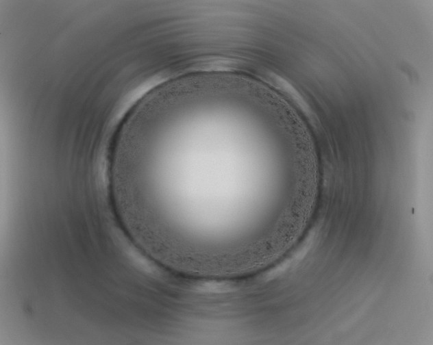 X0000114510835200910191131