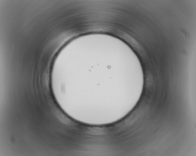 X0000114510836200910191131