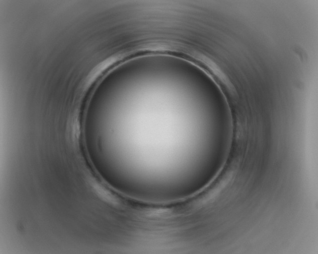 X0000114510837200910191131