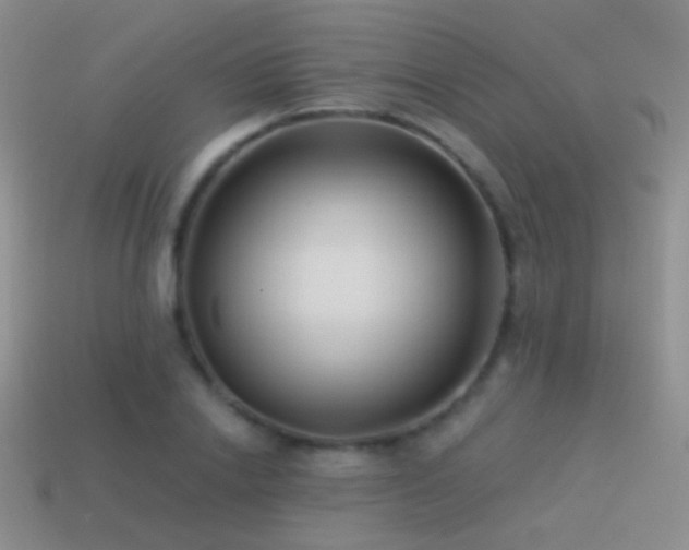 X0000114510838200910191131