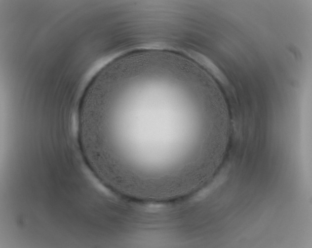 X0000114510839200910191131