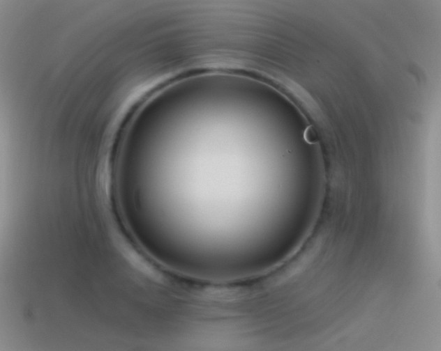 X0000114510840200910191131