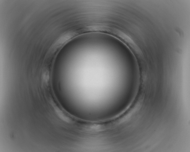 X0000114510841200910191131