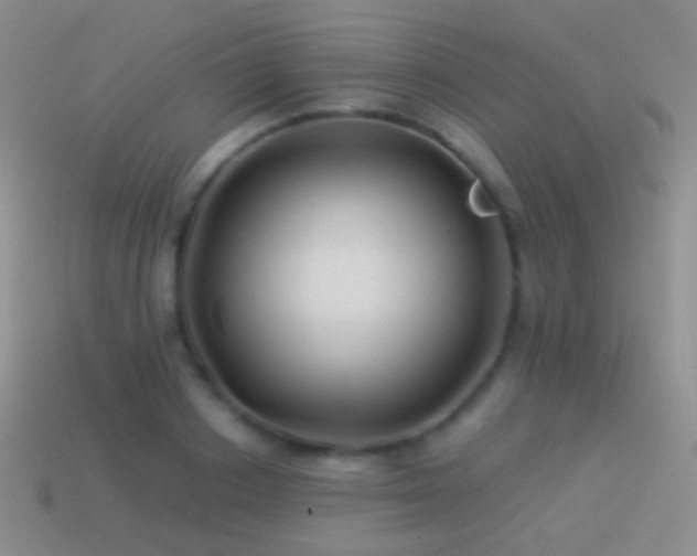 X0000114510842200910191131