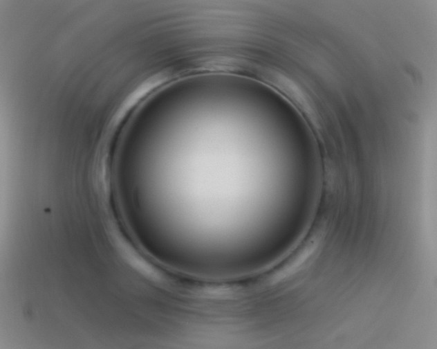 X0000114510843200910191131