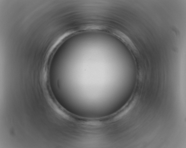 X0000114510844200910191131