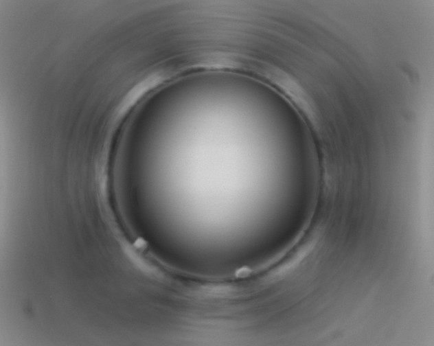 X0000114510845200910191131