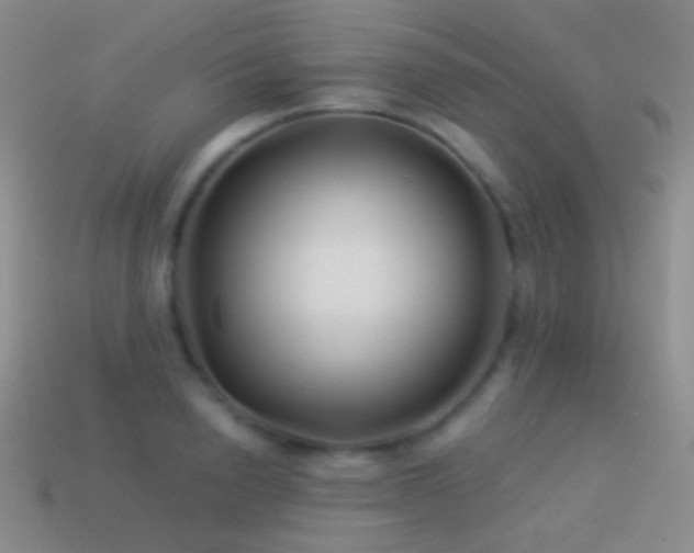 X0000114510846200910191131