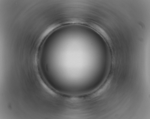 X0000114510847200910191131