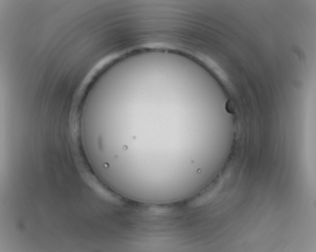 X0000114510848200910191131