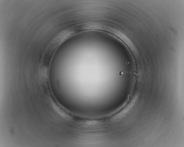 X0000114510849200910191131