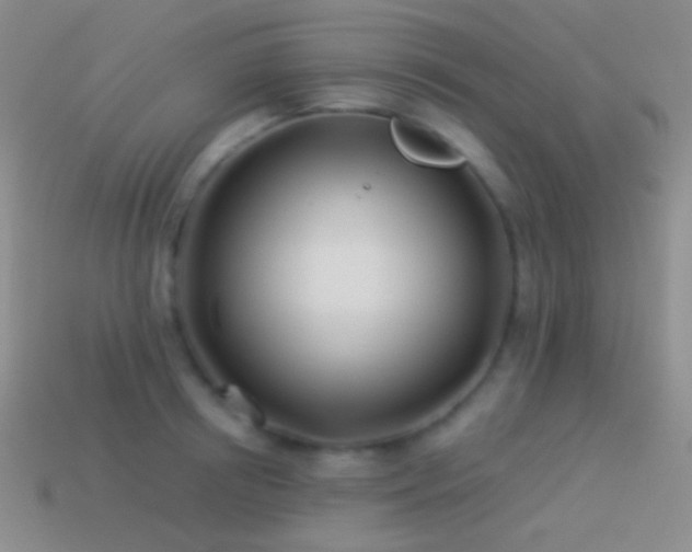 X0000114510850200910191131